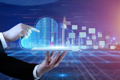 让流量回归真实和理性 重塑互联网数据服务的价值导向