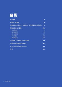 互联网数据中心与199it 洞察数字未来的关键数据服务